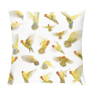 Personality  Composition Of Rosy-faced Lovebird Flying, Agapornis Roseicollis, Also Known As The Peach-faced Lovebird Against White Background Pillow Covers