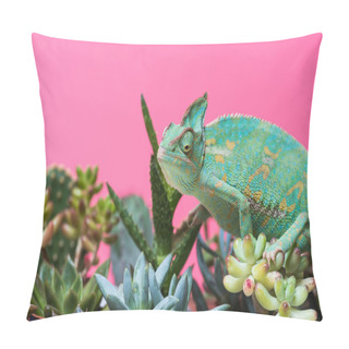 Personality  Cute Colorful Chameleon Crawling On Succulents Isolated On Pink Pillow Covers