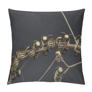 Personality  Sweat Bees Resting On Branches Pillow Covers