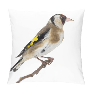 Personality  European Goldfinch, Carduelis Carduelis, Perched On A Branch, Is Pillow Covers