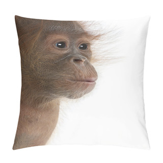 Personality  Baby Sumatran Orangutang (4 Months Old) Pillow Covers