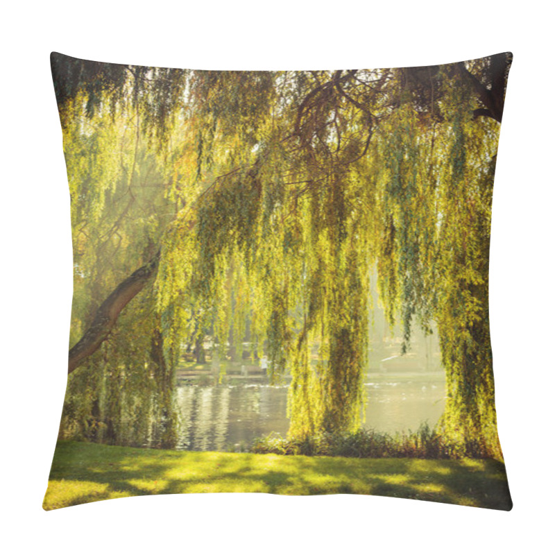 Personality  Park With Pond And Willow Trees Pillow Covers