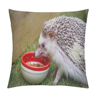 Personality  African White- Bellied Hedgehog Pillow Covers