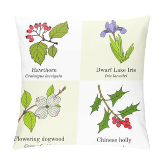 Personality  Set Of Edible And Medicinal Plants Pillow Covers