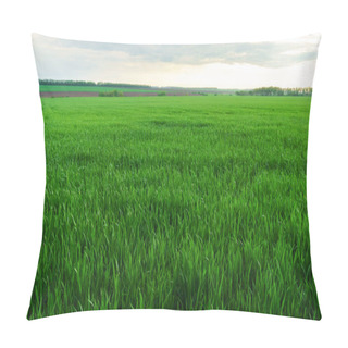 Personality  Panoramic View Of Fresh Green Field Under Blue Sky Pillow Covers