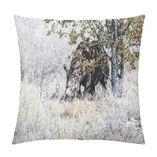 Personality  Black Rhinoceros Browsing Under A Tree. Pillow Covers