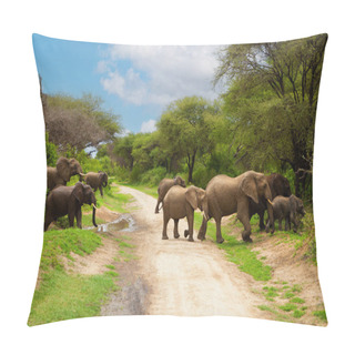 Personality  A Small Herd Of Elephants With  Small Babys Of Elephant Very Close In Detail In A National Reserve In Tanzania Crossing The Road Pillow Covers