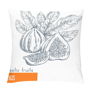 Personality  Figs. Hand Drawn Vector Illustration Pillow Covers