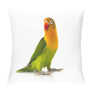 Personality   Fischeri Lovebird  Pillow Covers