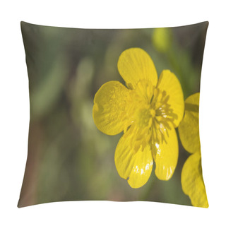 Personality  Buttercup Yellow In Spring Pillow Covers
