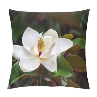 Personality  Southern Magnolia Blossom Pillow Covers