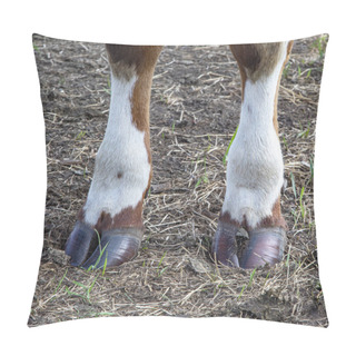 Personality  Brown Front Hooves Of A Pied Cow Standing In A Dry Meadow Pillow Covers