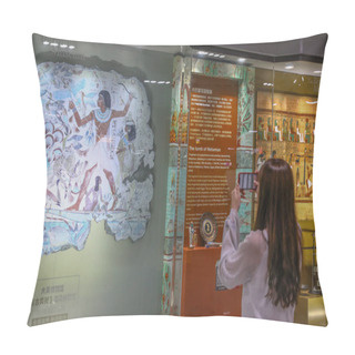 Personality  A Passenger Takes Photos Of A Reproduction Of A Mural From The Tomb Chapel Of Nebanum, Thebes, Egypt, Showing Nebamun Hunting Birds In The Marshes Around The Nile, From The British Museum's Collection On Display At The South Shaanxi Road Metro Statio Pillow Covers