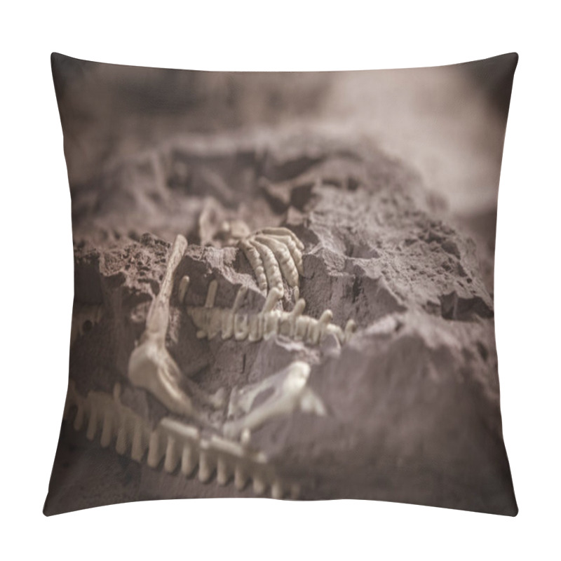 Personality  Dinosaur fossils, Jurassic era, Paleontological excavations pillow covers