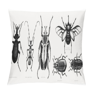 Personality  Vector Collection Of High Detailed Insects Sketches. Hand Drawn  Pillow Covers