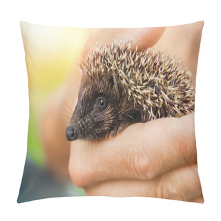 Personality  Small Prickly Hedgehog In The Hands Of Green Grass Closeup Pillow Covers