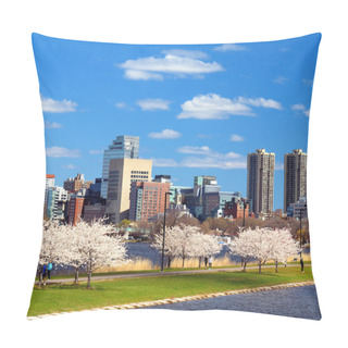 Personality  Boston Skyline In Spring Pillow Covers