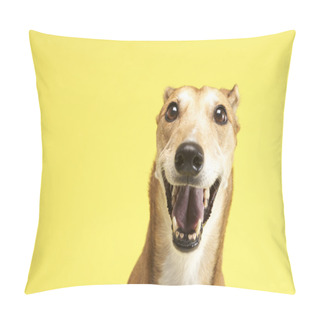 Personality  Portrait Of Pet Greyhound Pillow Covers