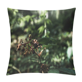 Personality  Selective Focus Of Tasty Blackberry In Woods  Pillow Covers
