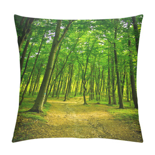 Personality  Mysterious Dark Forest Near Rzeszow, Poland Pillow Covers