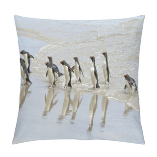 Personality  Rockhopper Penguins (Eudyptes Chrysocome) Pillow Covers