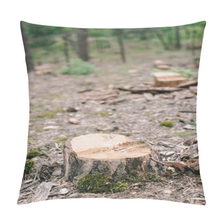 Personality  Dry Wood Stump Of Cut Tree And Green Moss In Forest  Pillow Covers