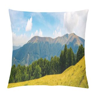 Personality  Panoramic Scene Of A Summer Landscape. Beautiful View Of A Beech Forest On A Grassy Meadow And Distant Mountain. Bright And Warm August Pillow Covers
