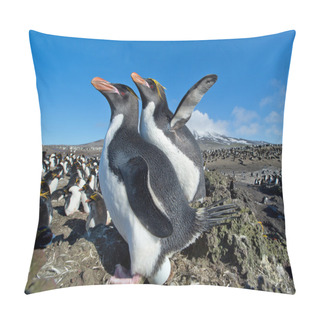 Personality  Pair Of Macaroni Penguins Pillow Covers