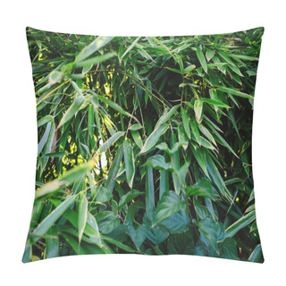Personality  A Close-up Photograph Capturing Lush, Vibrant Green Bamboo Leaves In Intricate Detail Pillow Covers