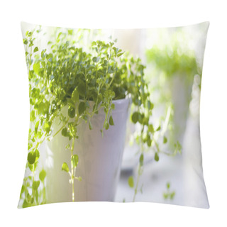 Personality  Beautiful Green Plant Pillow Covers