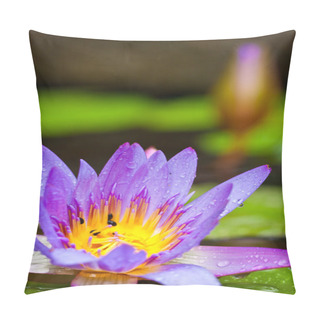 Personality  Beautiful Lotus Flower Or Waterlily In A Pond Pillow Covers