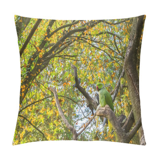 Personality  Ring Necked Parakeet Sitting On A Tree Branch With Other Birds In The Background, Popular Pet In Aviculture From Africa Pillow Covers