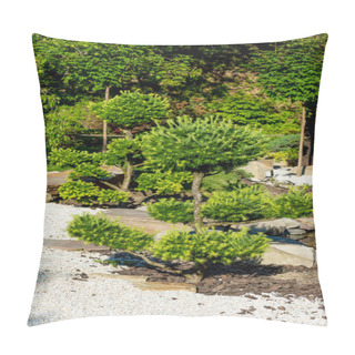 Personality  Green Coniferous Trees Growing On Rocks In Summer Pillow Covers