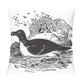 Personality  Razorbill Is An Aquatic Bird The Common Auk, Vintage Line Drawing Or Engraving Illustration. Pillow Covers
