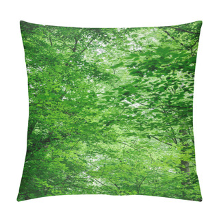 Personality  Low Angle View Of Green Trees With Leaves In Forest In Wurzburg, Germany Pillow Covers
