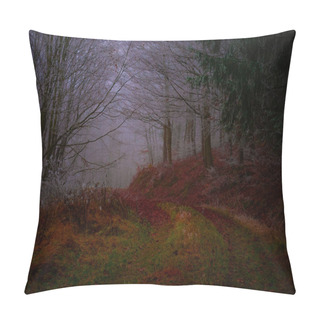 Personality  Mysterious Foggy Forest Covered With Rime In Late Autumn. Forest Road Covered With Colourful Leafs,fog,trees Covered With Rime, Gloomy Autumnal Landscape. Jeseniky Mountains, Eastern Europe, Moravia.  Pillow Covers