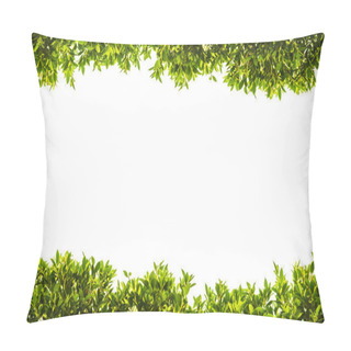 Personality  Banyan Green Leaves Isolated On White Background Pillow Covers