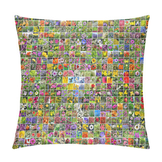 Personality  Background From Square Photos Of The Blossoming Decorative Cultivated Flowers Pillow Covers