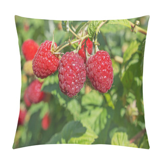 Personality  Three Bright Juicy Raspberries On The Branch Pillow Covers