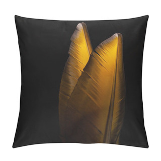 Personality  Feathers, Colored Parrot Feathers Pillow Covers