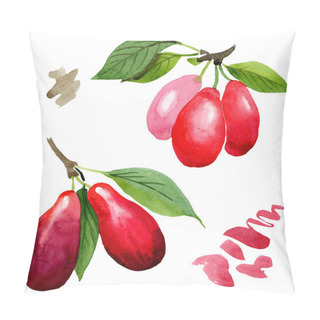 Personality  Dogwood Red Fruit And Green Leaves. Watercolor Background Illustration Set. Isolated Cornus Mas Illustration Element. Pillow Covers