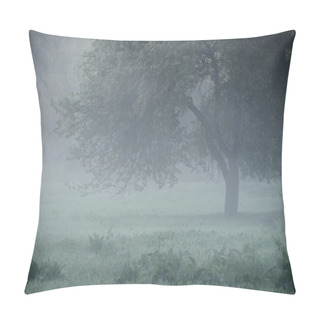 Personality  Mystical Tree Silhouette In Fog Pillow Covers