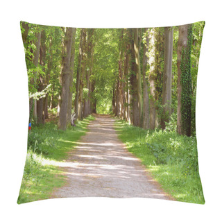 Personality  Fall Autumn Forrest Woods With Trees Background With Perspective Walking Path Road Pillow Covers