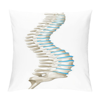 Personality  Spine Diagram Showing Back Pain Pillow Covers