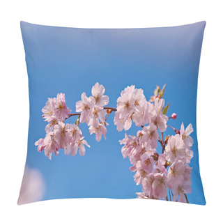 Personality  Beautiful Pink Flowers On Blue Sky Background Pillow Covers