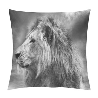 Personality  Wild African Lion Pillow Covers