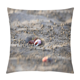 Personality  Uca Vocans, Fiddler Crab Walking In Mangrove Forest At Bassien Beach Mumbai  Maharashtra India. Pillow Covers