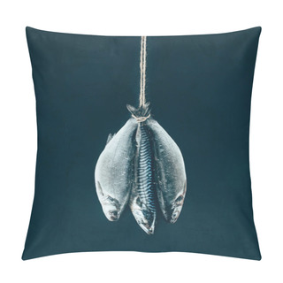 Personality  Close-up View Of Uncooked Mackerel Fish Hanging On Rope Isolated On Black Pillow Covers