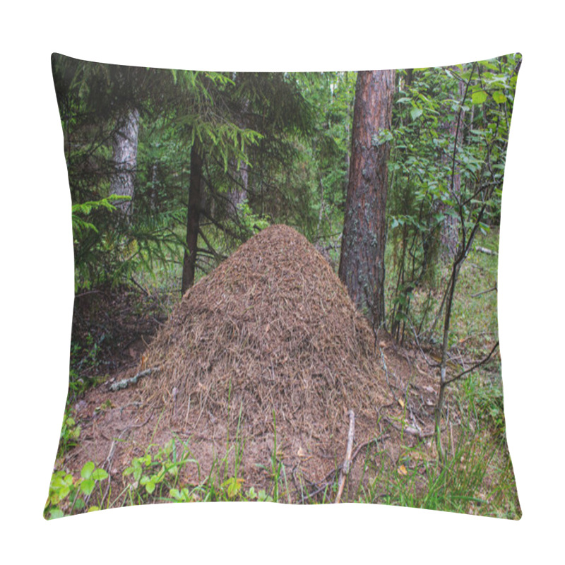 Personality  Large ant hill in the forest close-up pillow covers