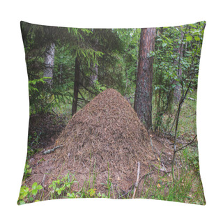 Personality  Large Ant Hill In The Forest Close-up Pillow Covers